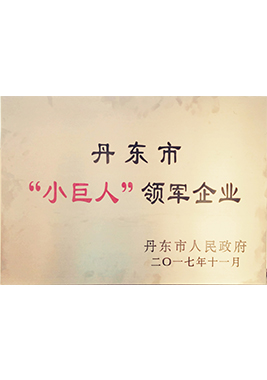 2017丹東市“小巨人”領(lǐng)軍企業(yè)