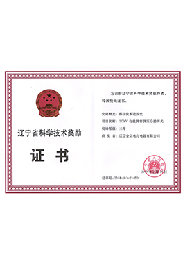 2019遼寧省科學(xué)技術(shù)三等獎