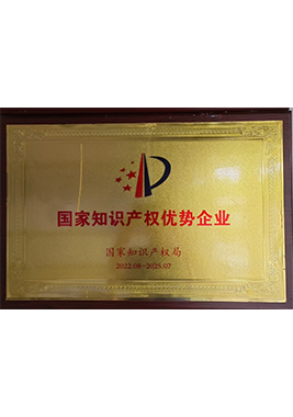 2022-2025國家知識產(chǎn)權(quán)優(yōu)勢企業(yè)