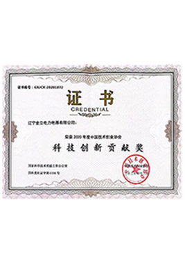 2020.12國家科技創(chuàng)新貢獻(xiàn)獎