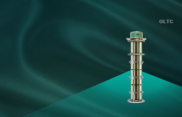 立式電動(dòng)籠形分接開關(guān)-中性點(diǎn)