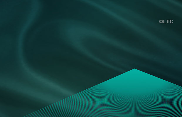 立式手動籠形分接開關(guān)66kV及以下-中部調(diào)壓